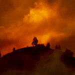 Keep Workers Safe from Wildfire Smoke on Jobsites
